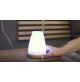 Diffusore di Aromi Oli Essenziali a Ultrasuoni con Luce Led 100 ml Profumatore