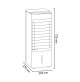 Ventilatore Raffrescatore Aria con Acqua ARGO Polifemo Kirk Climatizzatore